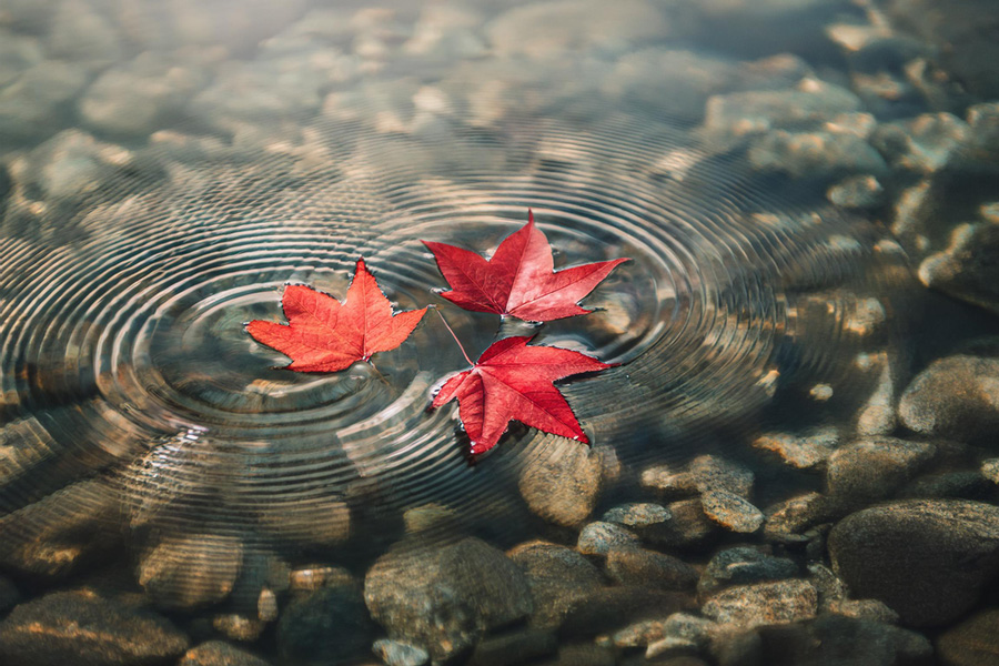 อธิษฐานยามเช้า 02.10.2024